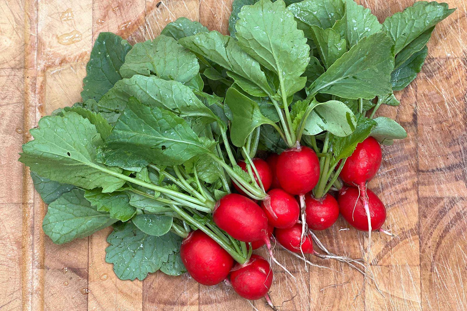 Allotment starts to deliver