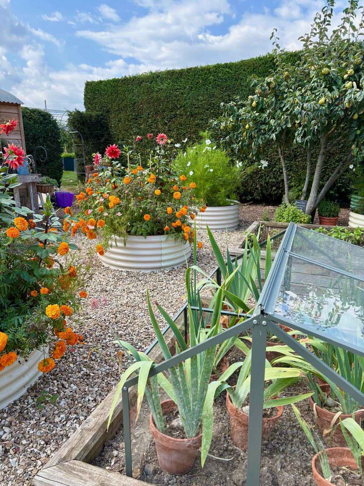 herb garden